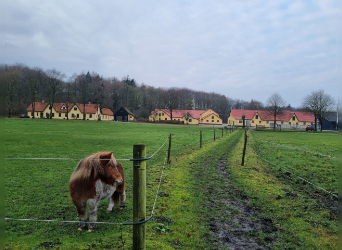 Historischer Pferdehof Solaranlage 271 Hektar PLUS Mietshäuser in Dänemark Meernähe