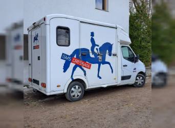 Renault Pferdetransporter Horsebox 