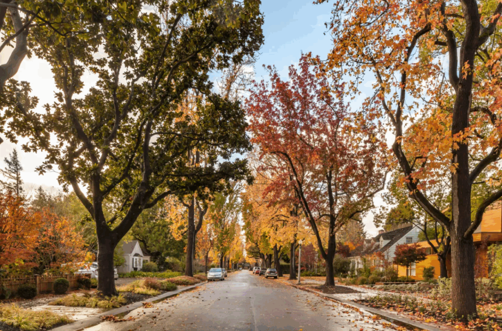 The hidden cost of living in Mark Zuckerberg’s $110M compound